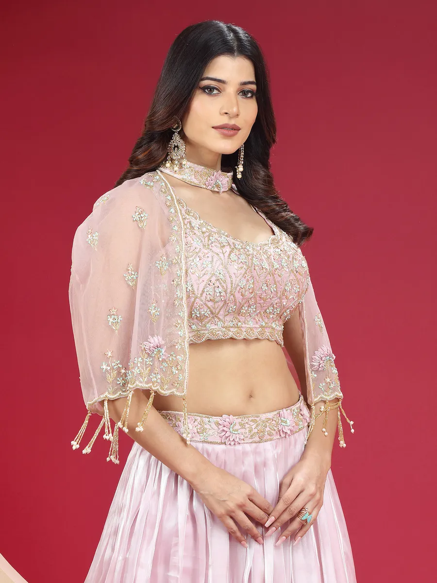 Beautiful light pink organza lehenga choli