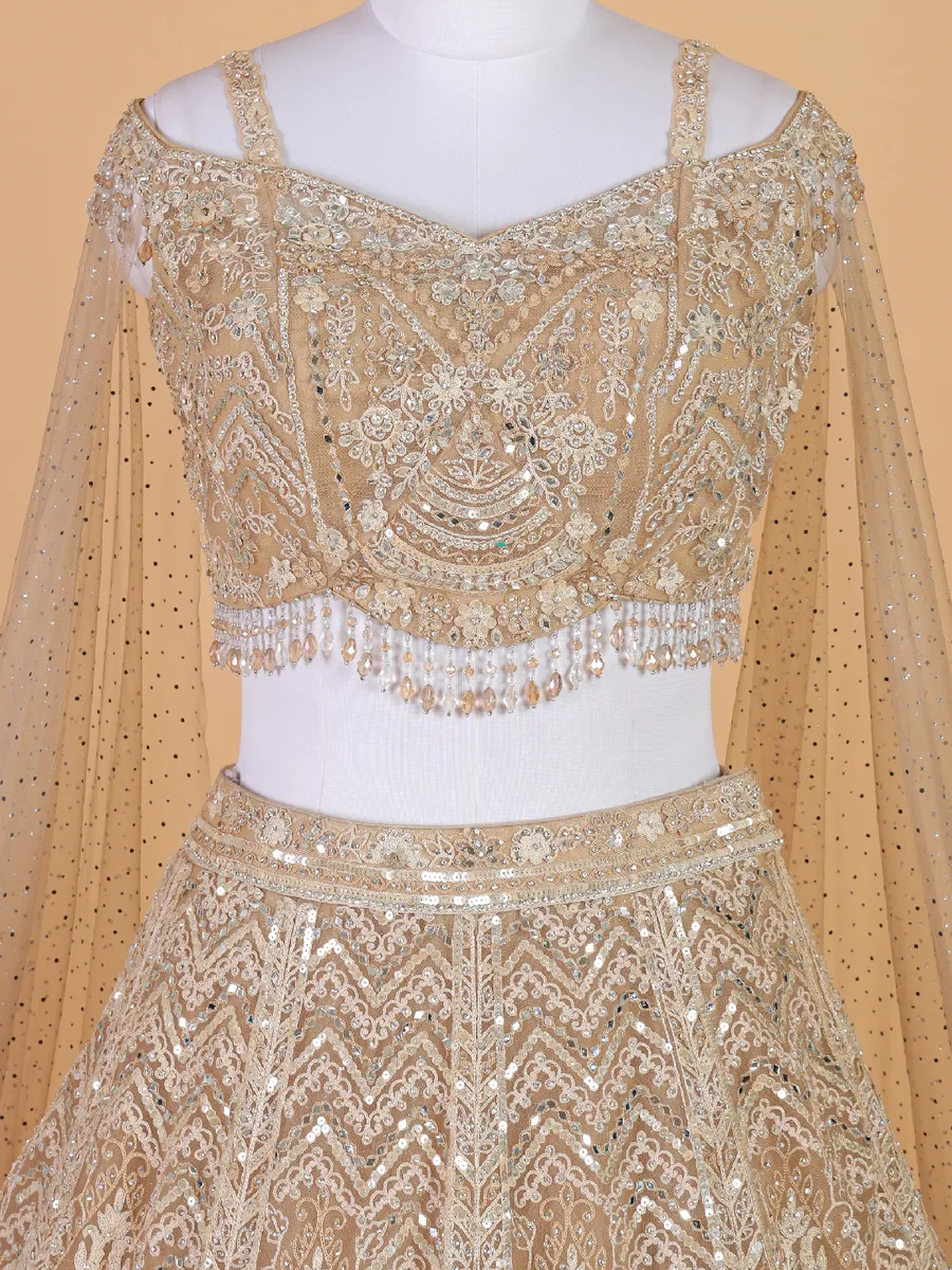 Elegant beige net lehenga choli for reception