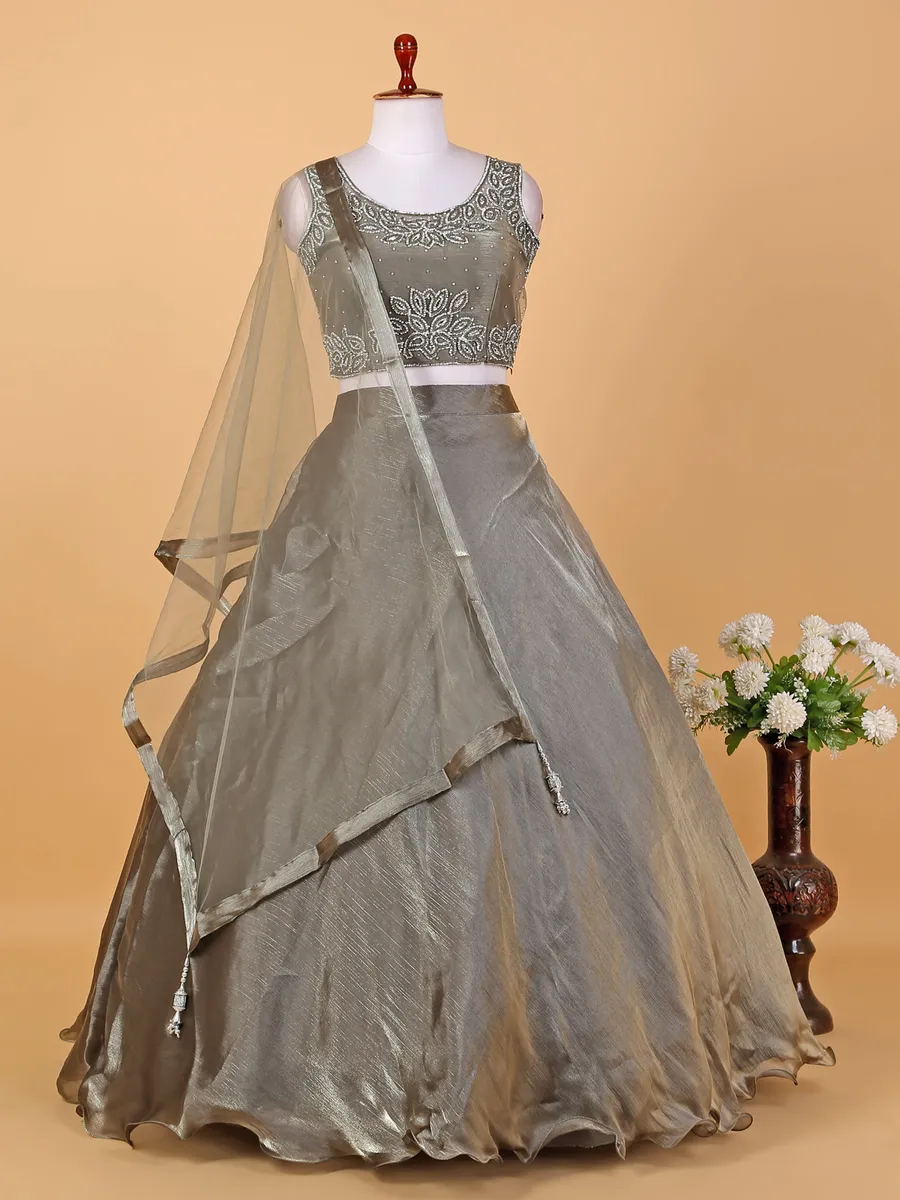 Elegant grey organza lehenga choli