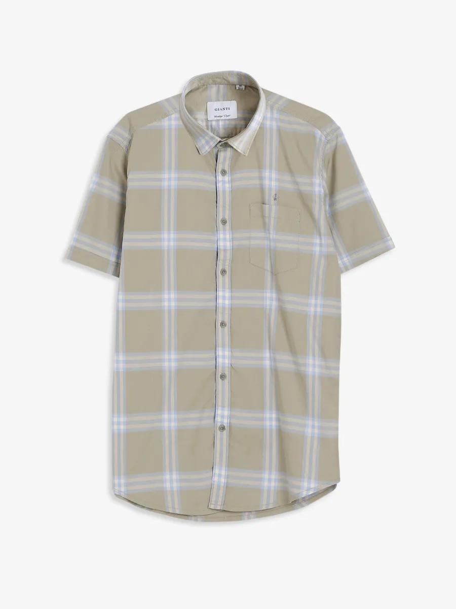 Gianti cotton sage green checks shirt