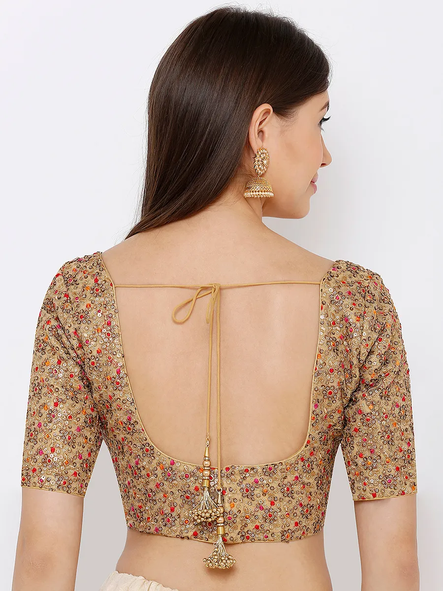 Gold net embroidery blouse