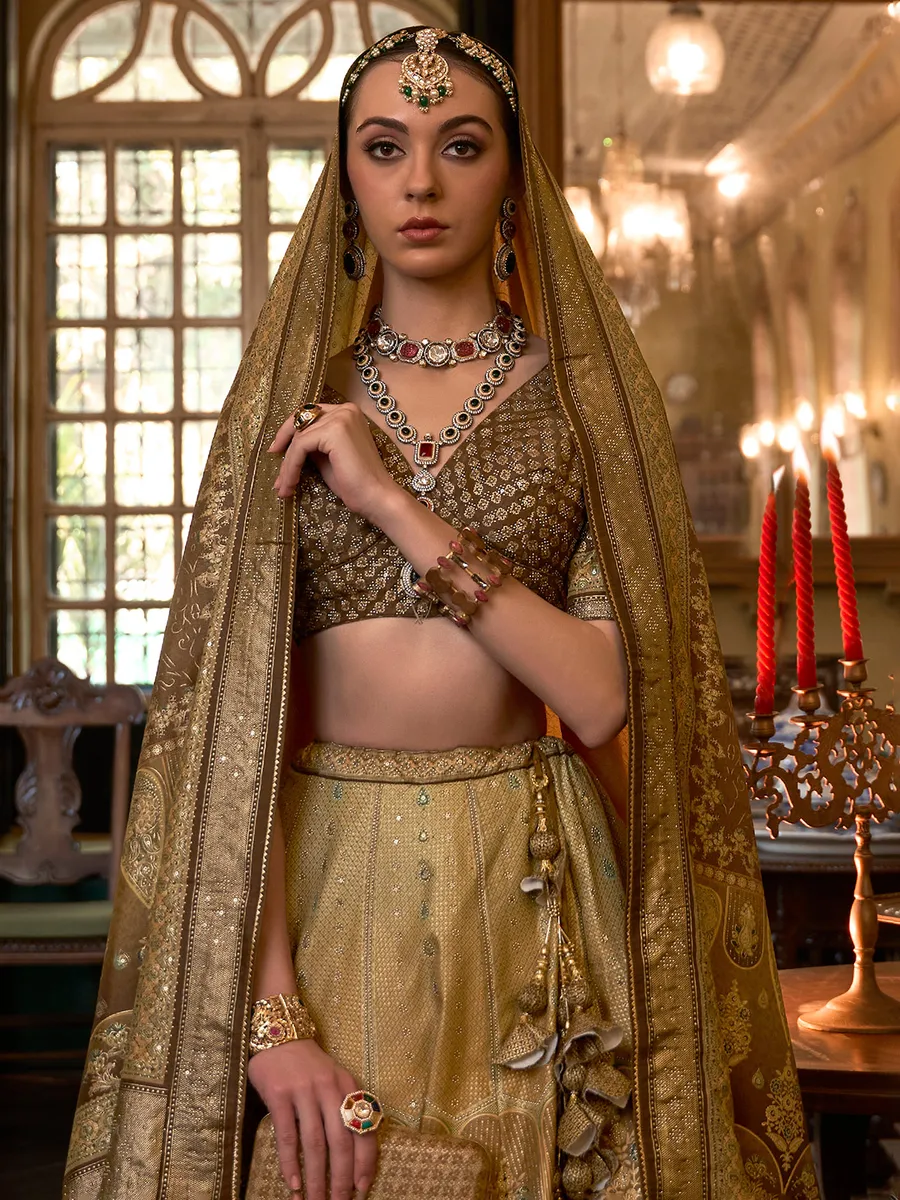 Olive and brown lehenga choli for wedding