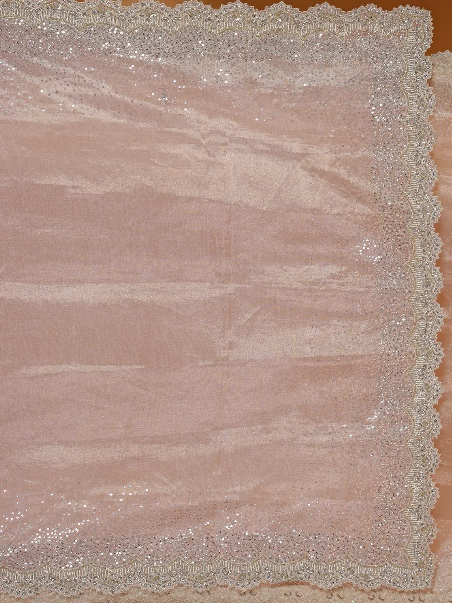 Stunning light pink organza saree