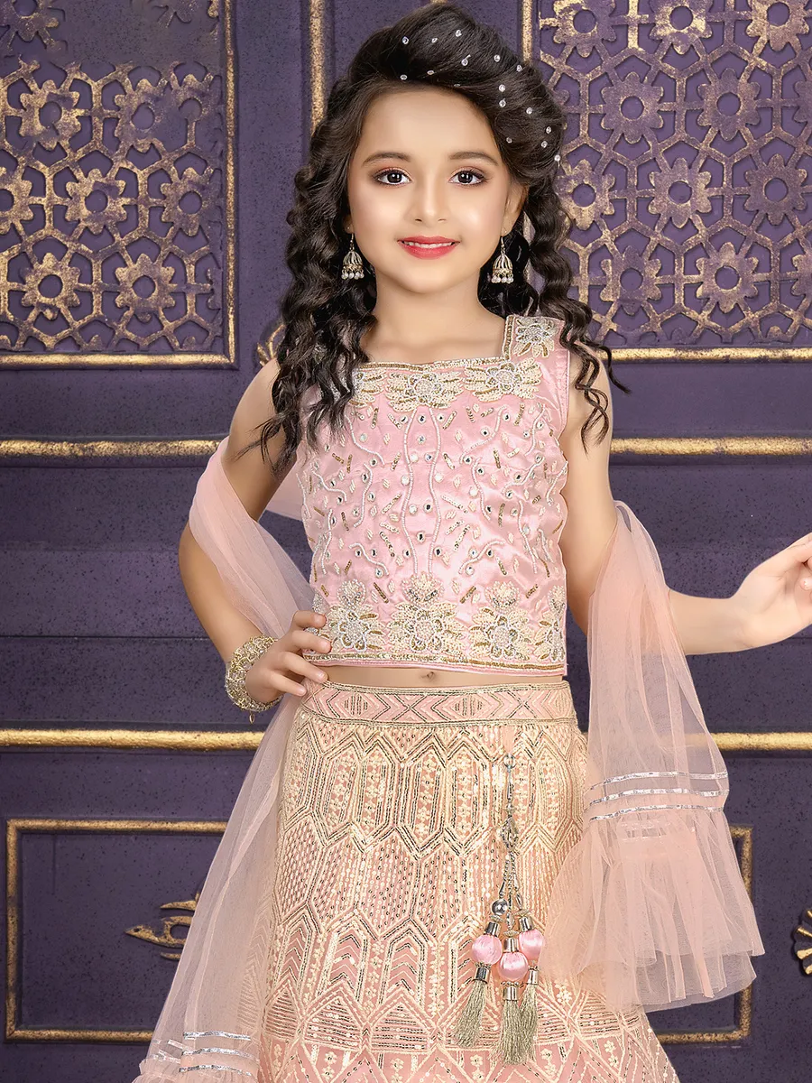 Stunning pink net lehenga choli with dupatta