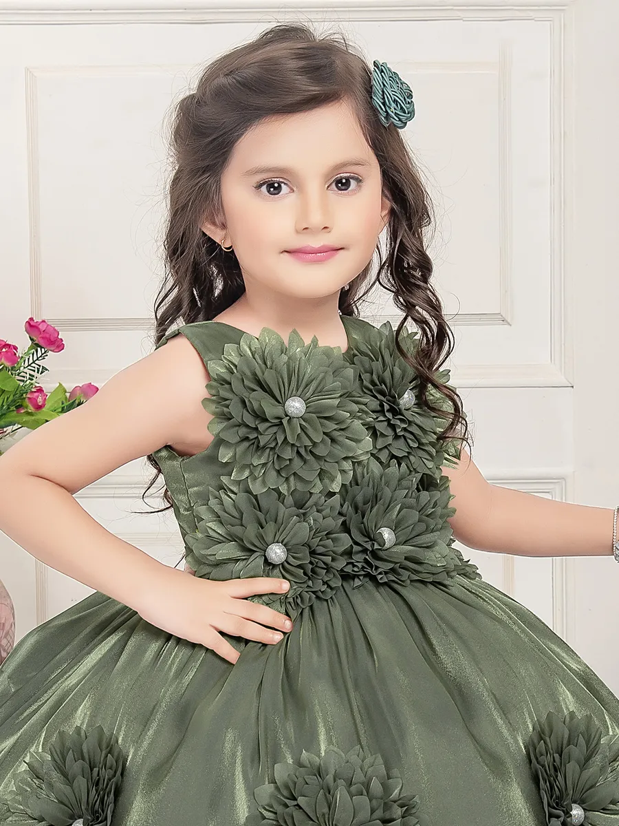 Stylish olive organza frock