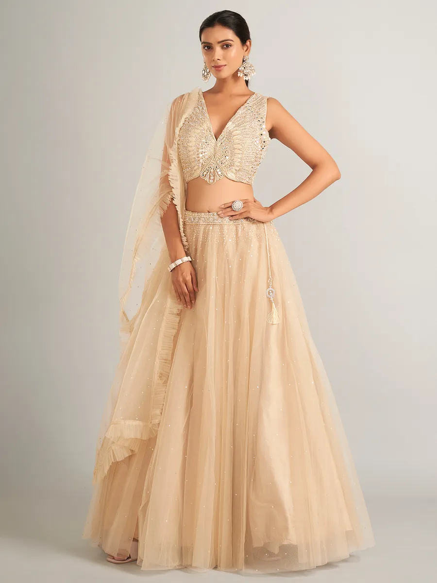 Wonderful beige net lehenga choli for wedding