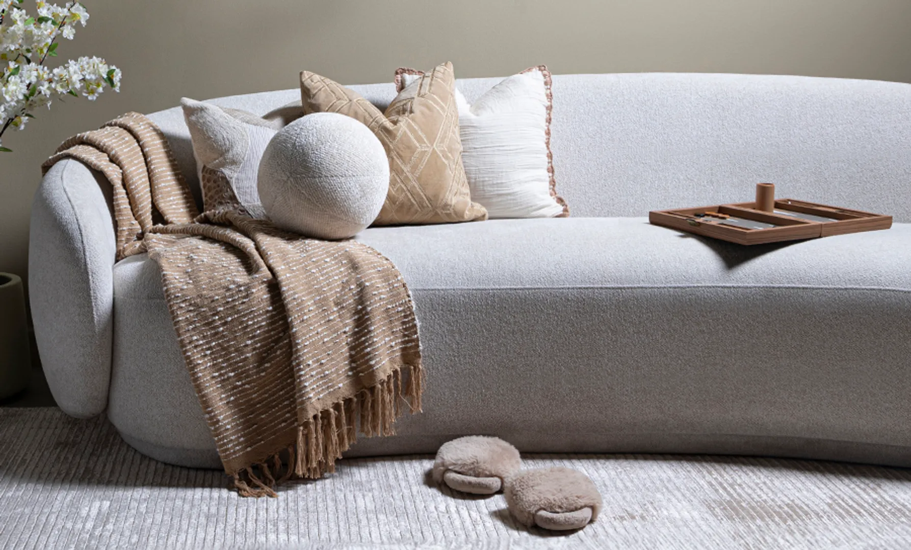 Looking for throw pillows 2025