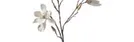 Stems & Branches