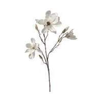 Stems & Branches