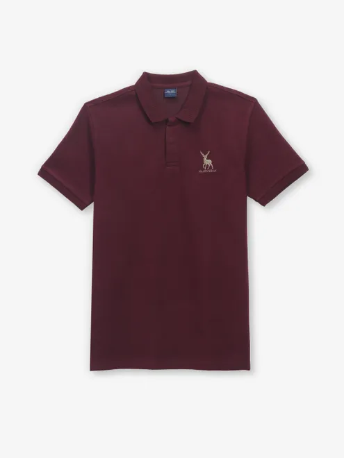 ALLEN SOLlY maroon cotton t-shirt for boys