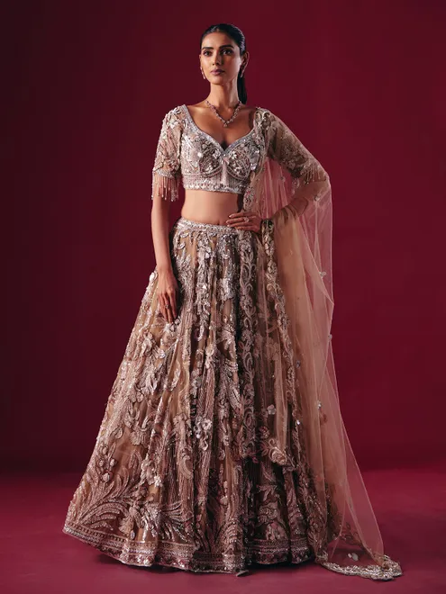 Beige net designer diamond lehenga choli