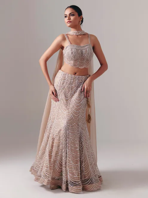 Beige net designer lehenga choli with dupatta