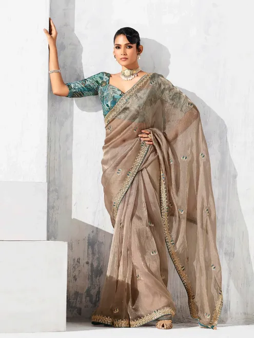 Beige tissue silk saree with resham detailing