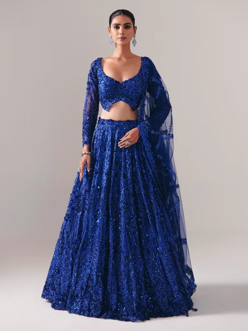Blue net lehenga choli with regal stone sparkle