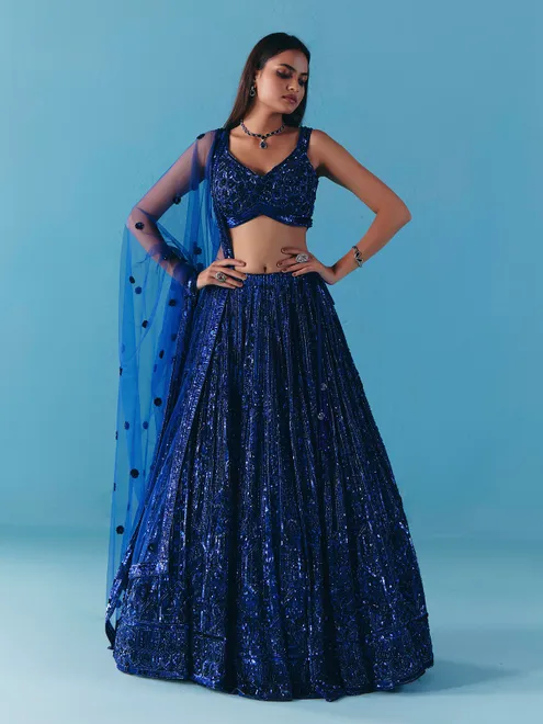 Blue net sweetheart neck lehenga choli with dupatta