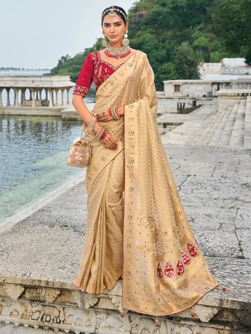 Classy chiku color kanjivaram silk saree