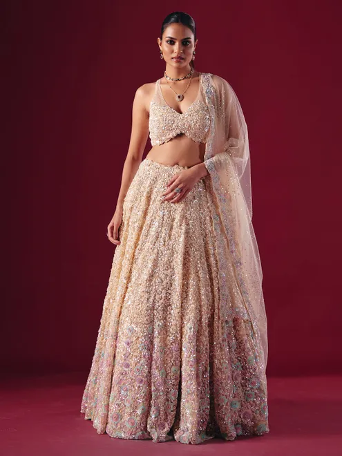 Cream net lehenga choli with cutdana embellishment