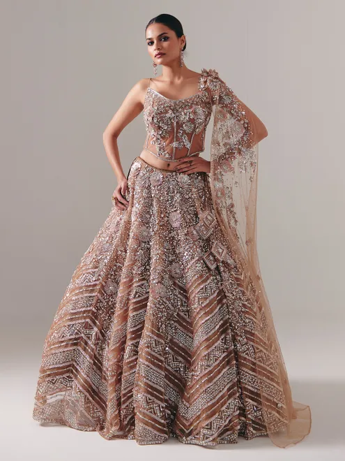 Dark beige net lehenga choli with sequins and diamond finish