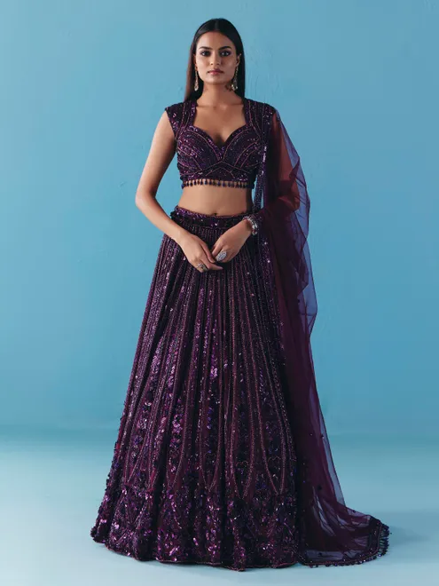 Dark purple net designer lehenga choli with dupatta