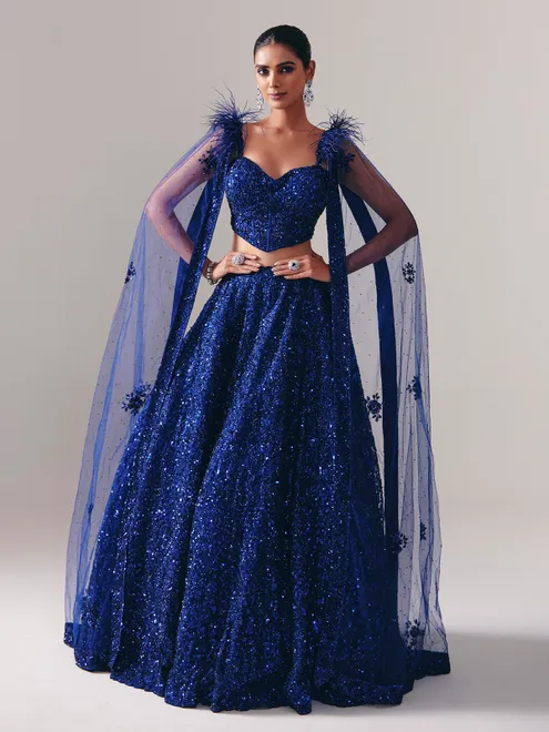 Designer blue net stone embellished lehenga choli