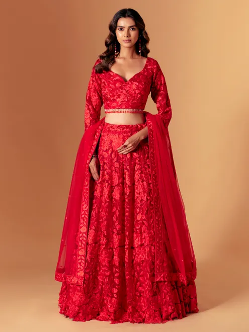 Red net embroidered lehenga choli for wedding wear