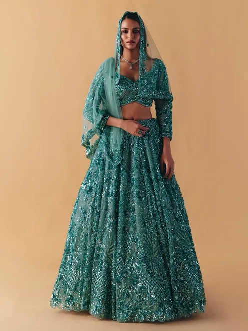 Sage green net lehenga choli with subtle stone glow