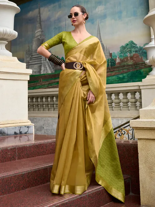 Stunning pastel green tissue silk saree for festive