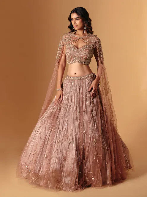Brown net embellished lehenga choli for wedding wear