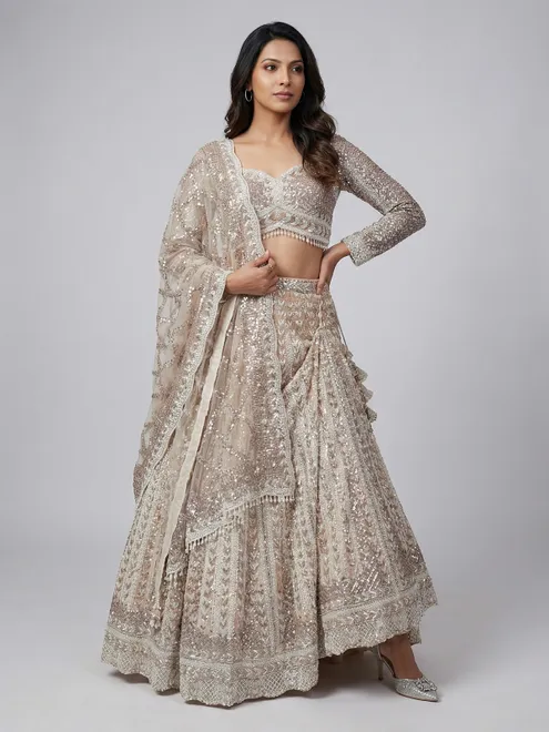 Beige net embroidered designer lehenga choli with dupatta