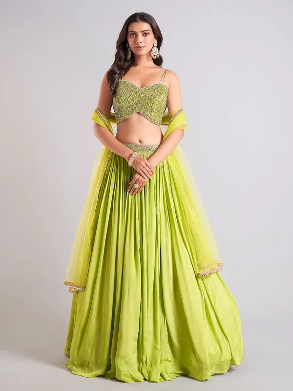 Awesome light green lehenga choli