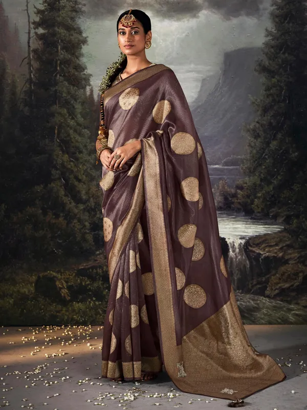 Beautiful wine organza saree