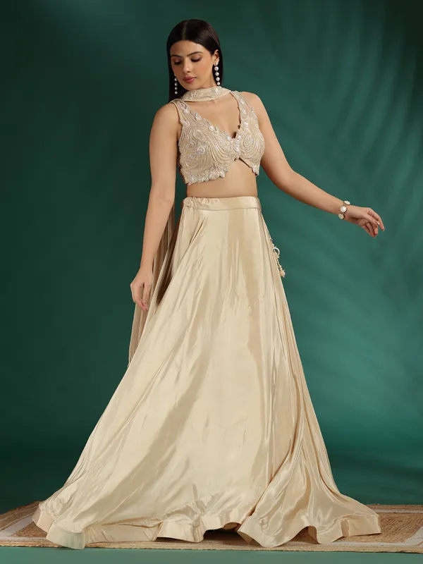 Beige silk lehenga choli with V neck blouse