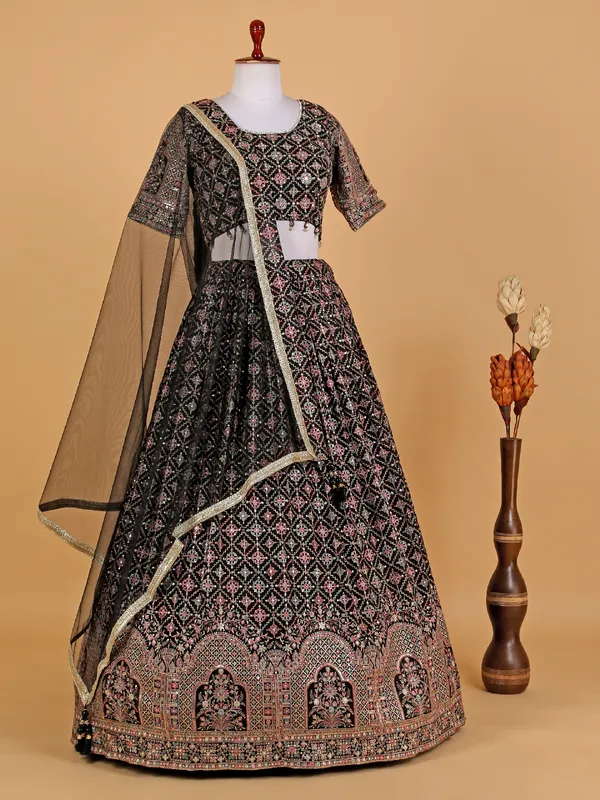 Black embroidery georgette lehenga choli