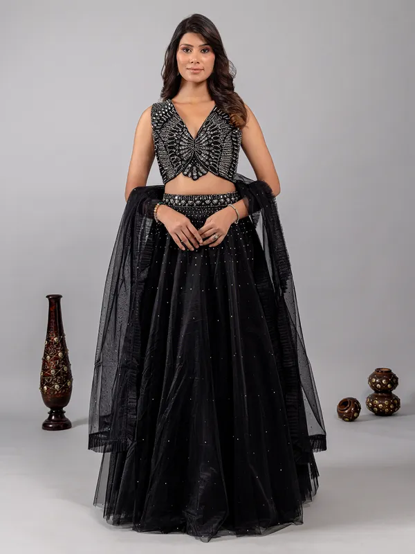 Black net lehenga choli with shimmering mirror accents