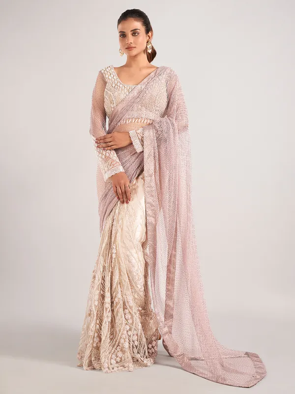 Brown and beige net with designer saree