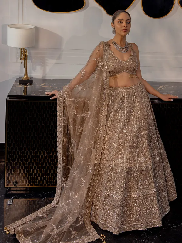 Brown net lehenga choli for wedding wear