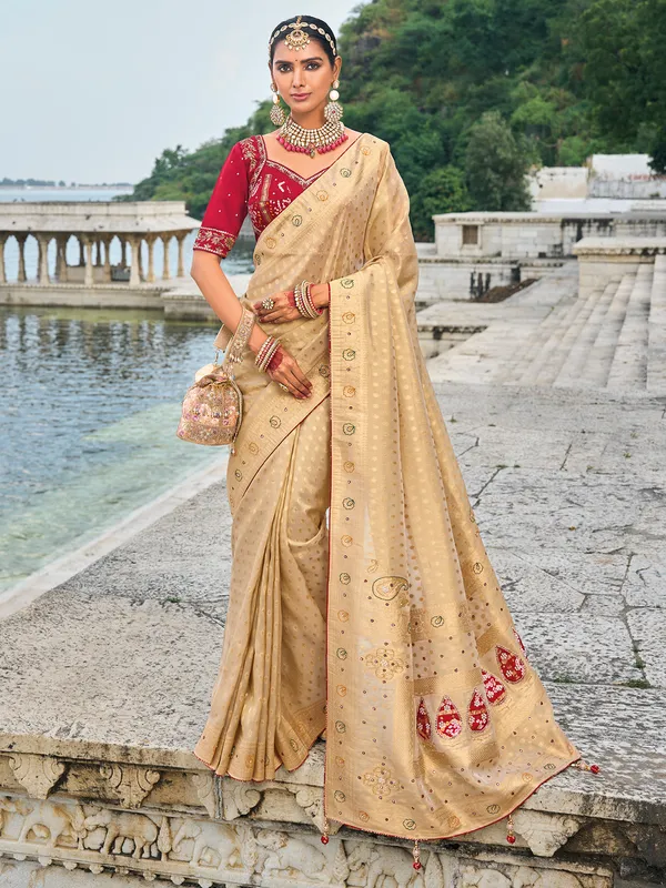 Classy chiku color kanjivaram silk saree