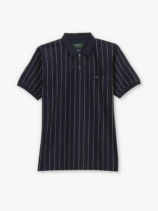 COLORPLUS stripe navy cotton t-shirt