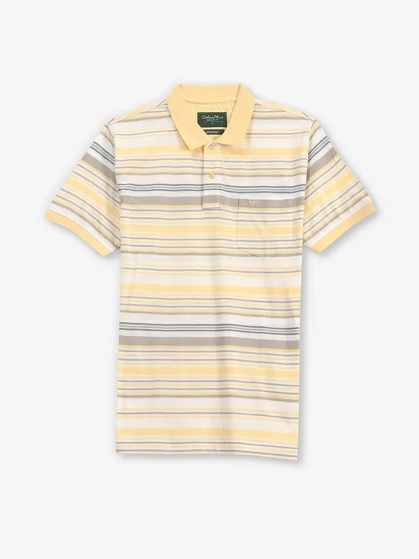 COLORPLUS stripe yellow cotton t-shirt