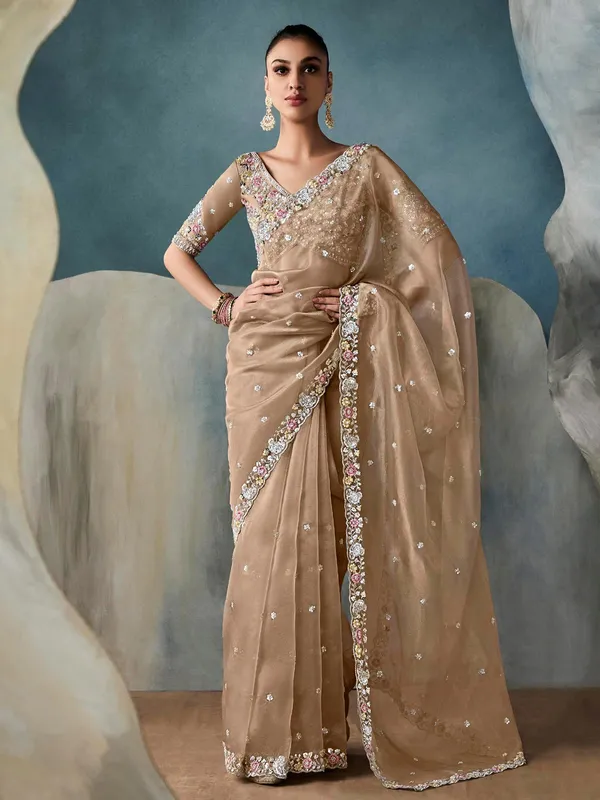 Dark beige tissue silk saree