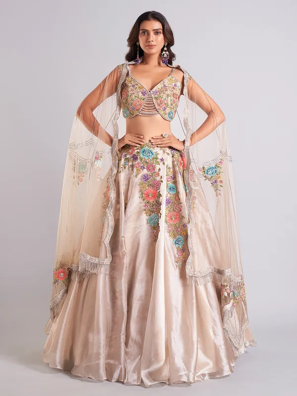 Gorgeous beige organza lehenga choli