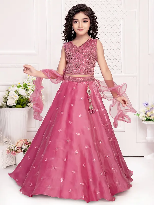Gorgeous light wine silk lehenga choli