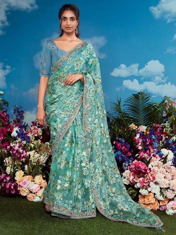 Light green saree with embroidery border