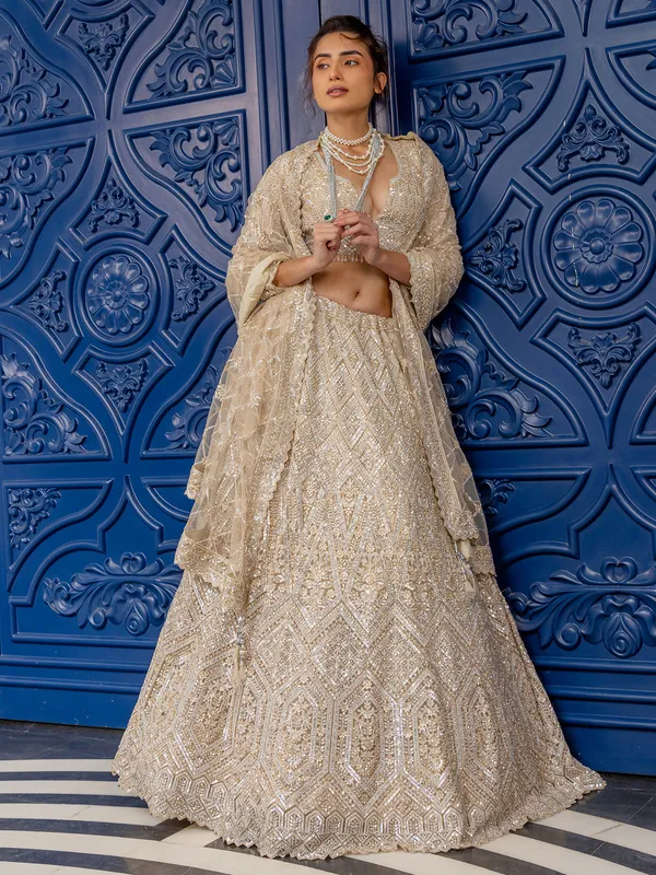 Peach net lehenga choli with stone embellishment