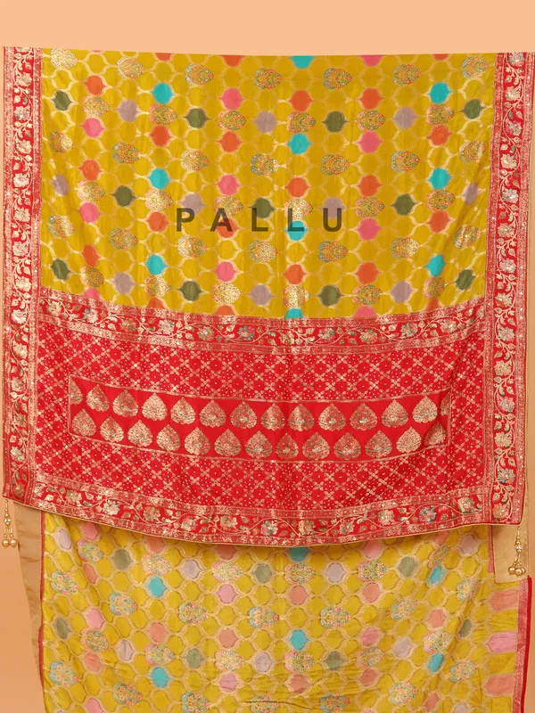 Red dola silk printed saree for women