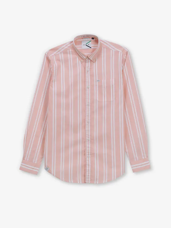 RIVER BLUE peach stripe cotton shirt