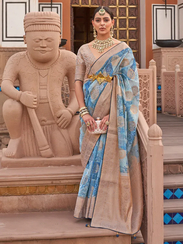 Sky blue organza saree with digital grandeur
