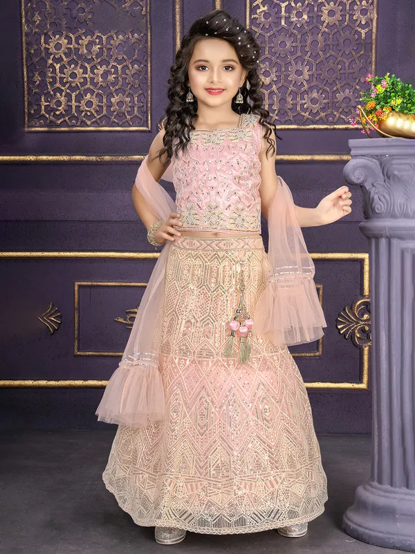Stunning pink net lehenga choli with dupatta