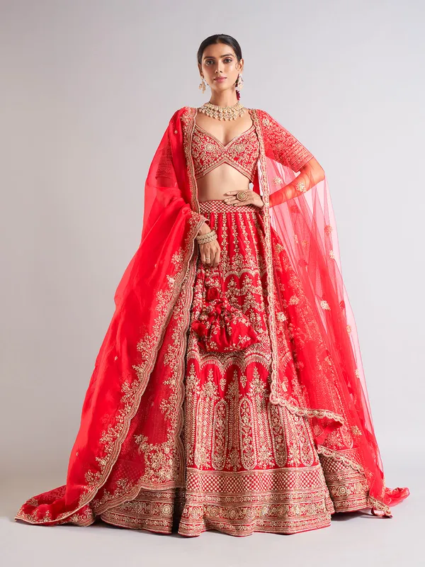 Stunning red lehenga choli with dupatta