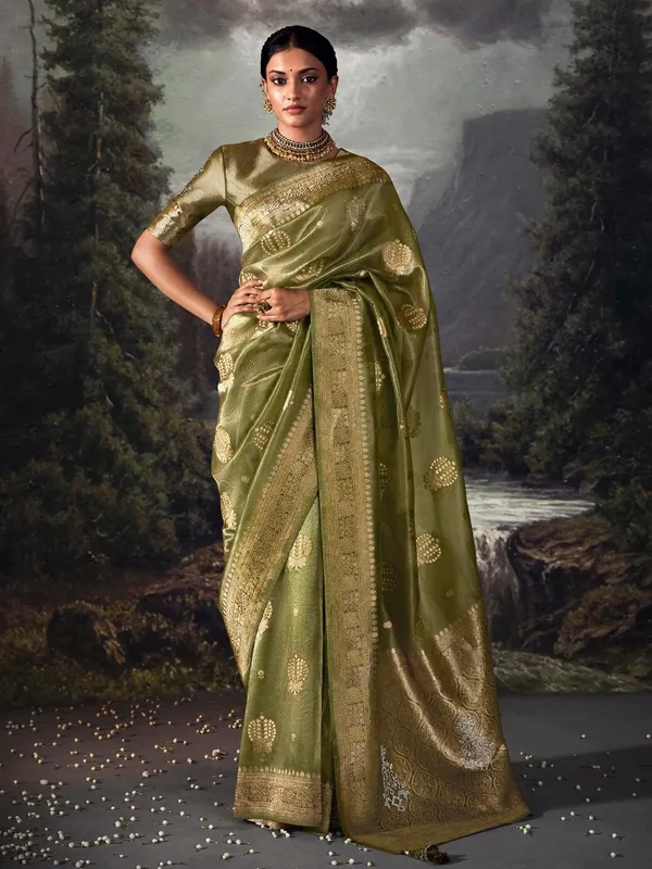 Stylish green organza saree